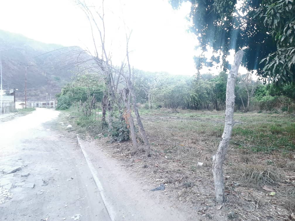 Imagen 1 de 8